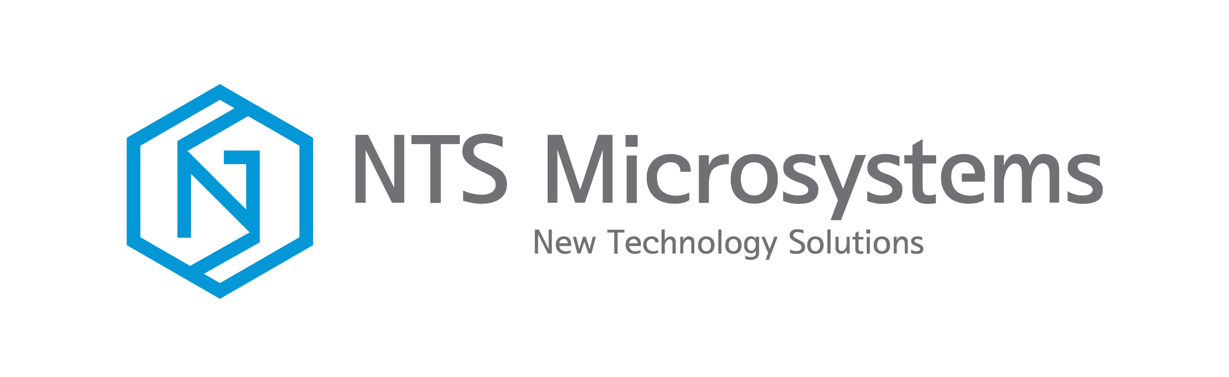 NTS Microsystems Co., Ltd.