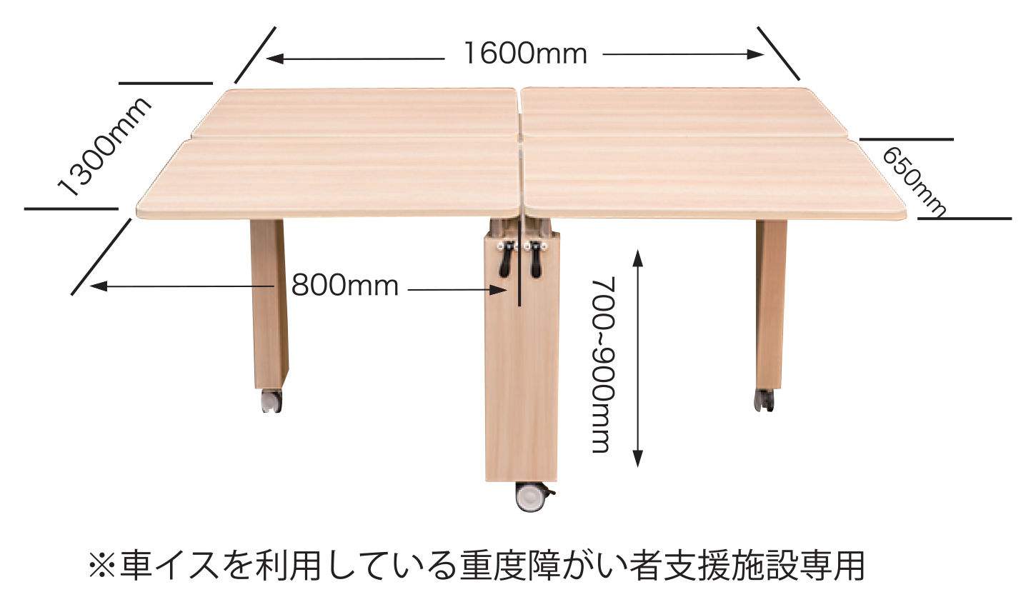 らくらくテーブル4人用障害者支援施設型　TNA-404Z