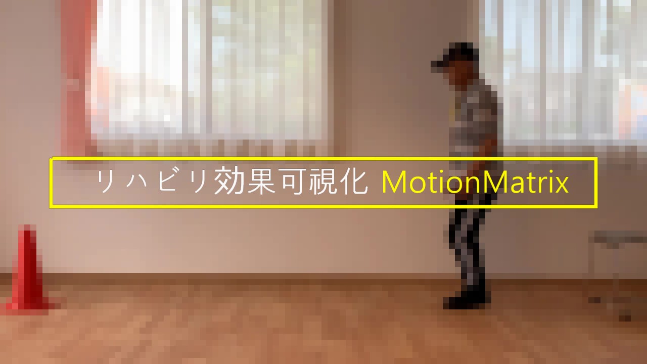 MotionMatrix（歩行動作の可視化ツール）